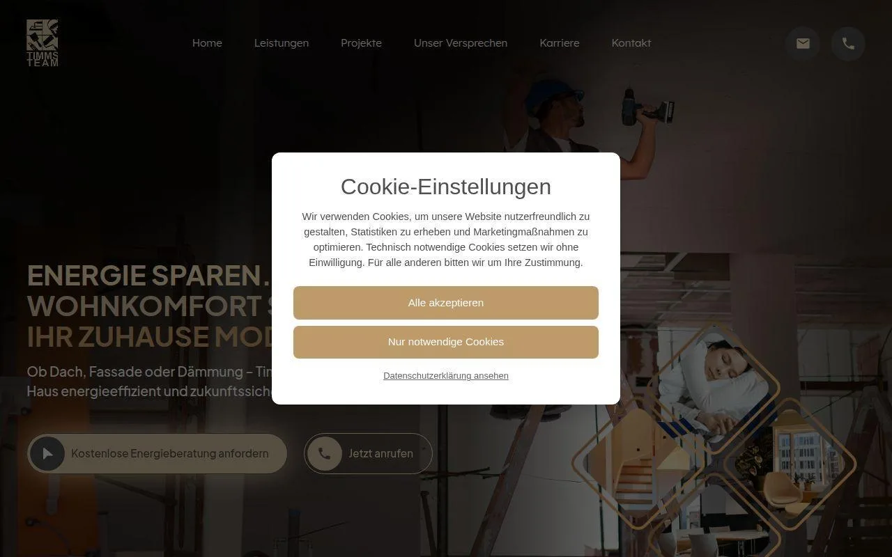 Timms Team Website
